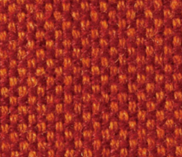 hari hari